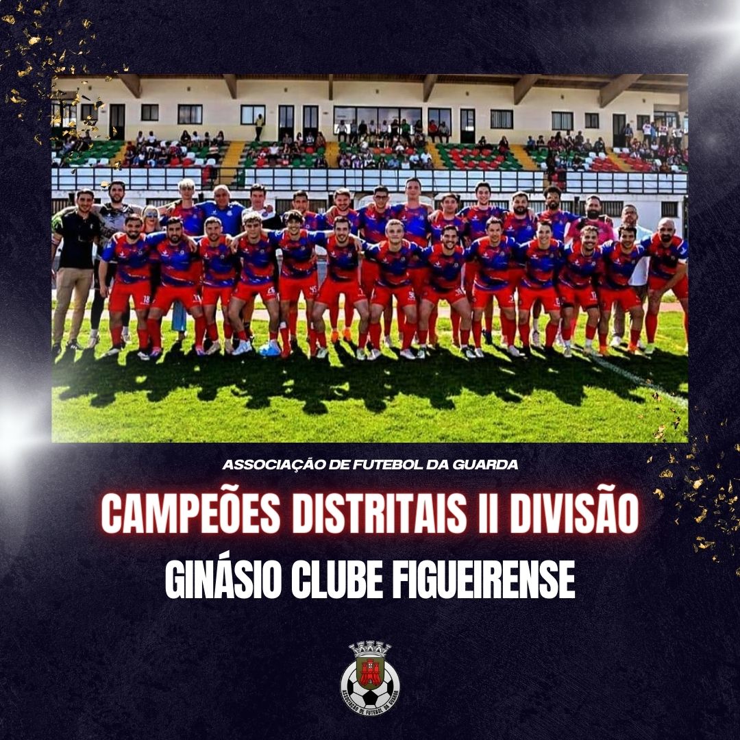 Campeões Distritais - Ginásio Clube Figueirense