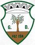 Grupo Desportivo de Vila Nova de Foz Côa